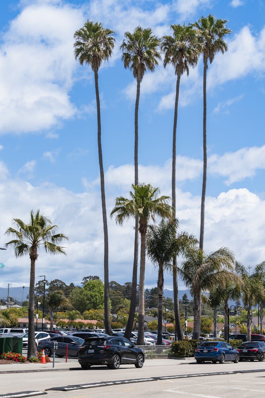 amusement parks, family fun, roller coasters, carnival games, kids entertainment, family activities, theme park rides, outdoor adventure, memorable experiences, family bonding