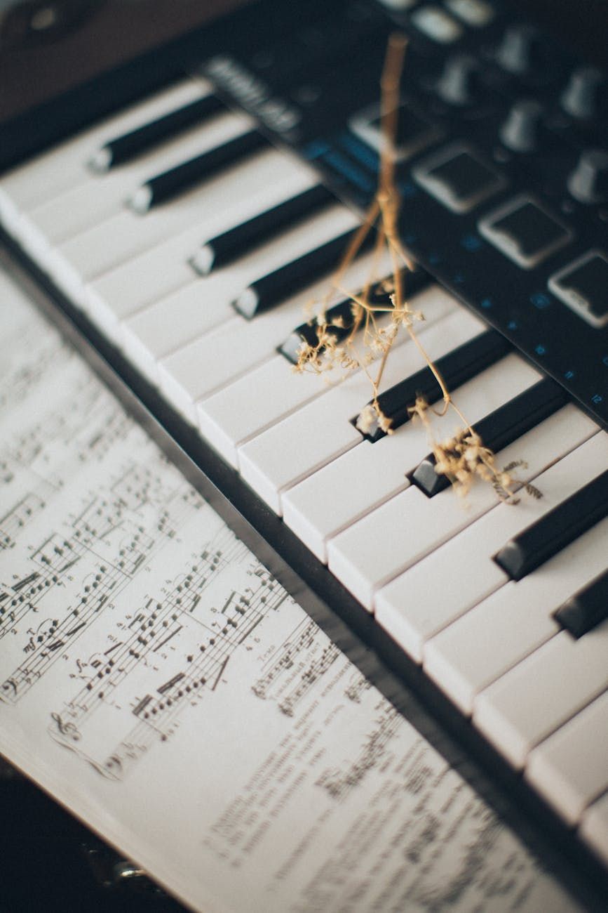 synthesizer, beginner synth guide, music production, analog vs digital, best synthesizer, sound design, MIDI controller, synth features, home studio, electronic music