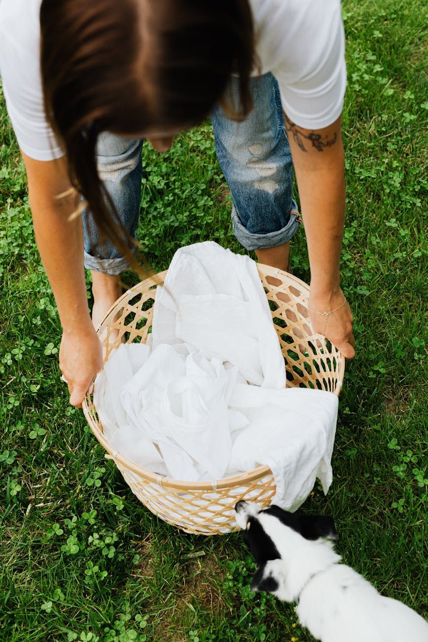 laundry baskets bathroom, best laundry basket materials, plastic vs wicker laundry basket, waterproof laundry baskets, bathroom storage solutions, durable laundry hampers, fabric laundry baskets pros cons, rattan laundry basket bathroom, space-saving laundry baskets, modern bathroom organization