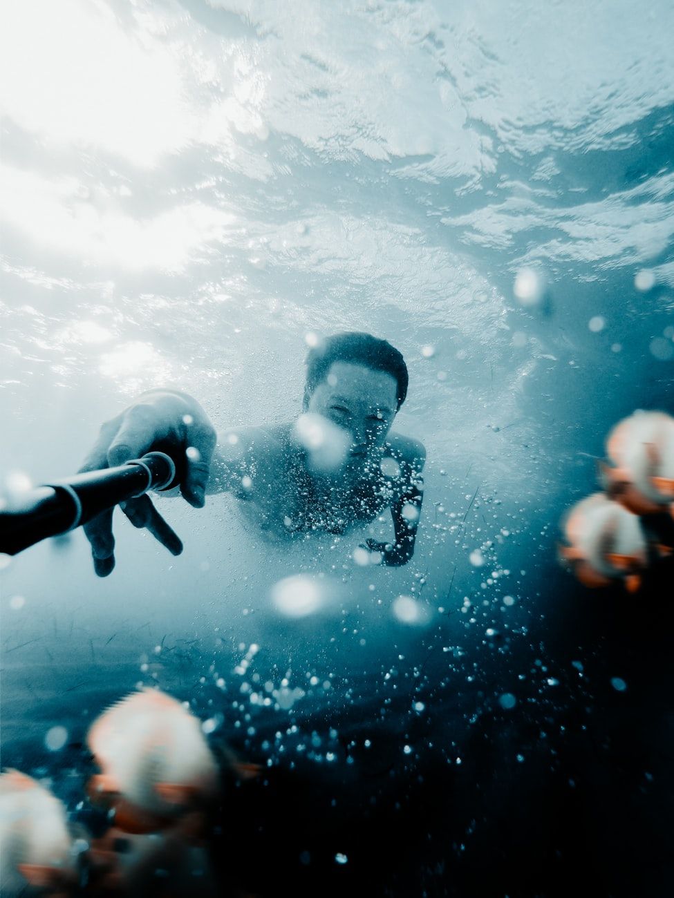 underwater cameras, subaquatic photography, waterproof technology, diving gear, marine exploration, high-resolution imaging, action cameras, underwater drones, coral reef photography, aquatic innovation