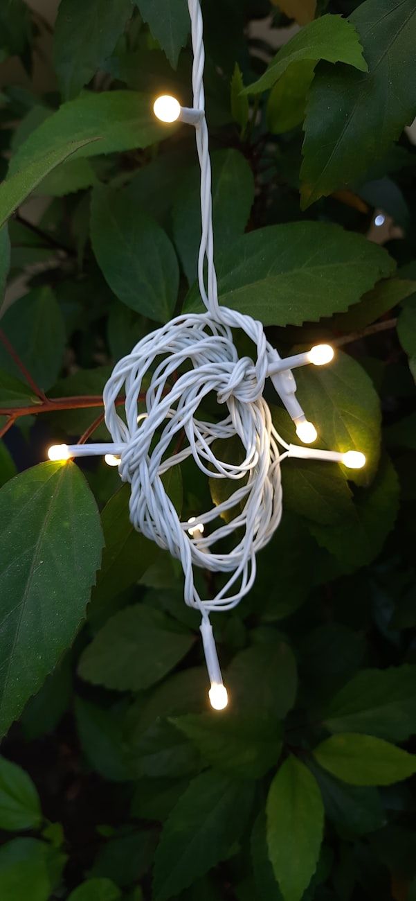 lichtsnoer, sfeerverlichting, interieur, sfeerlicht, LED lichtsnoer, gezellige verlichting, binnenverlichting, buitenlichtsnoer, decoratie het hele jaar door, decoratieve verlichting
