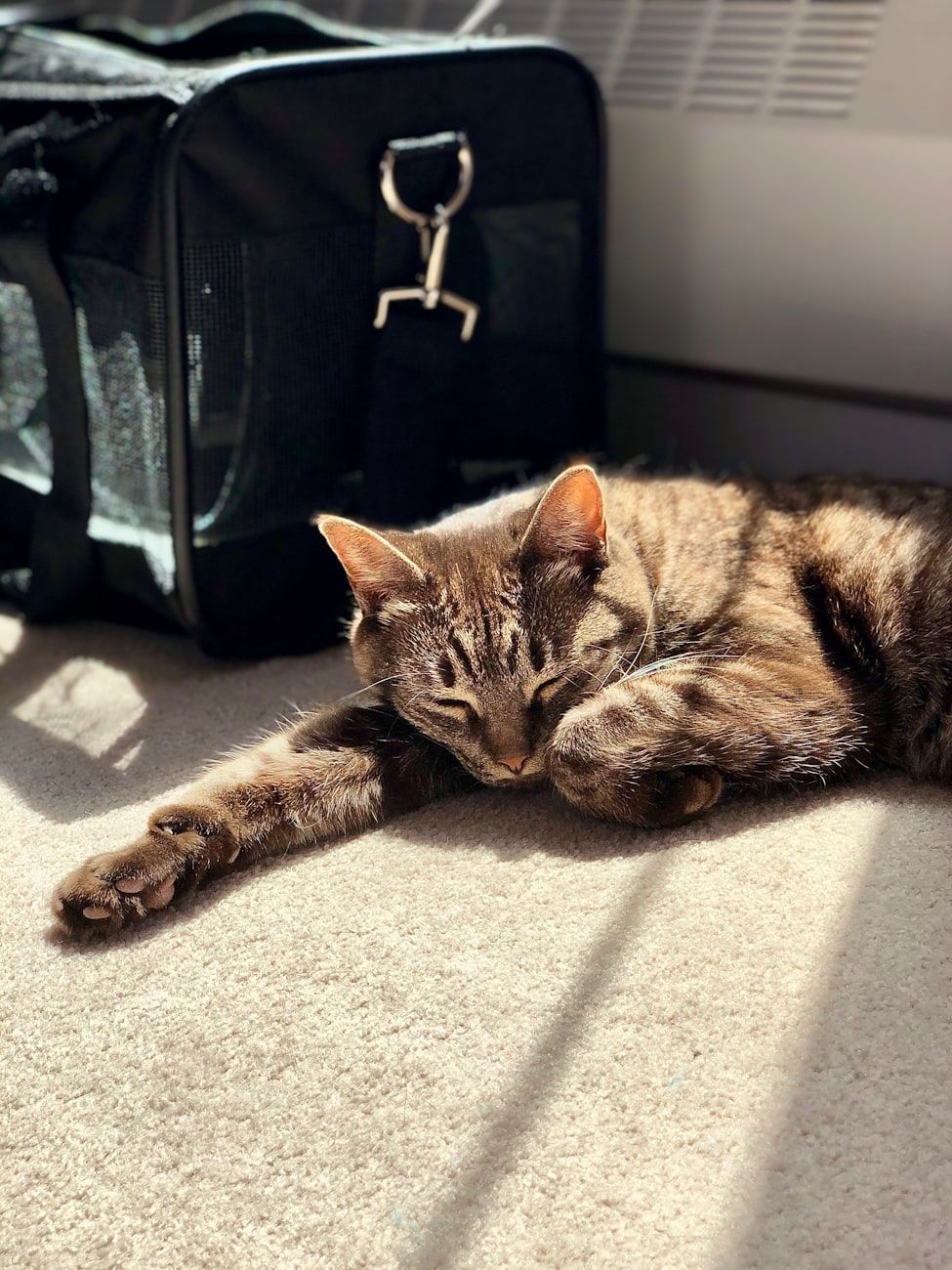 kattenreistas, reismand voor katten, huisdiertransportbox, comfortabele kattenreistas, luchtvaartmaatschappij-goedgekeurde kattenreistas, zachte kattenreistas, harde kattenreistas, veilig reizen met huisdieren, kattentips voor reizen, draagbare kattenreistas