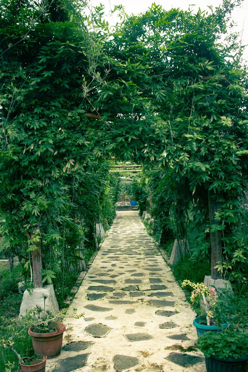 ideas de senderos de jardín, senderos de jardín DIY, diseño de senderos al aire libre, soluciones de senderos de patio trasero, sendero de jardín de grava, ideas de senderos de piedra, senderos de jardín económicos, diseño de paisajes modernos, proyectos de jardín fáciles, senderos exteriores decorativos