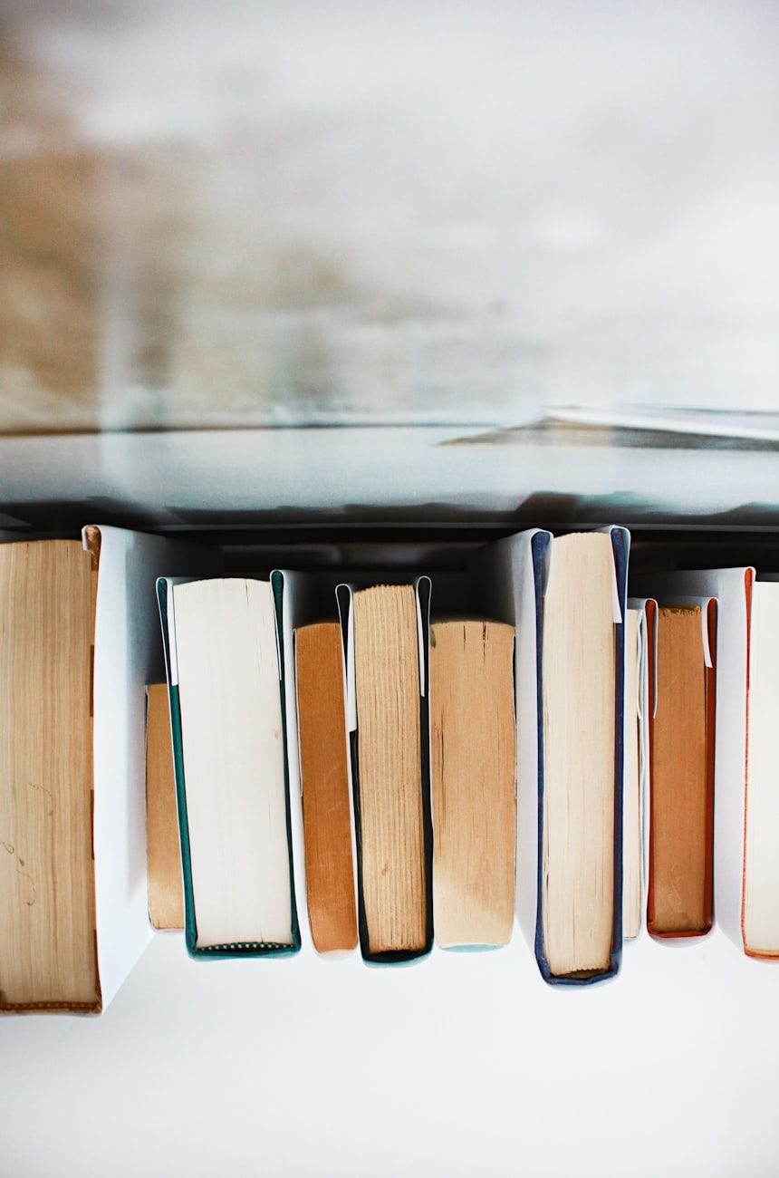 livros esquecidos, romances clássicos, obras-primas perdidas, literatura vintage, leituras centenárias, gemas escondidas, herança literária, clássicos redescobertos, histórias intemporais, edições raras