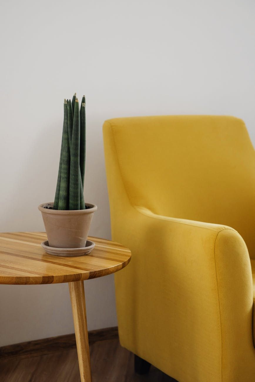 minimalisme, maksimalisme, møbeldesign, trender, interiør, stil, komfort, innovasjon, materialer, estetikk