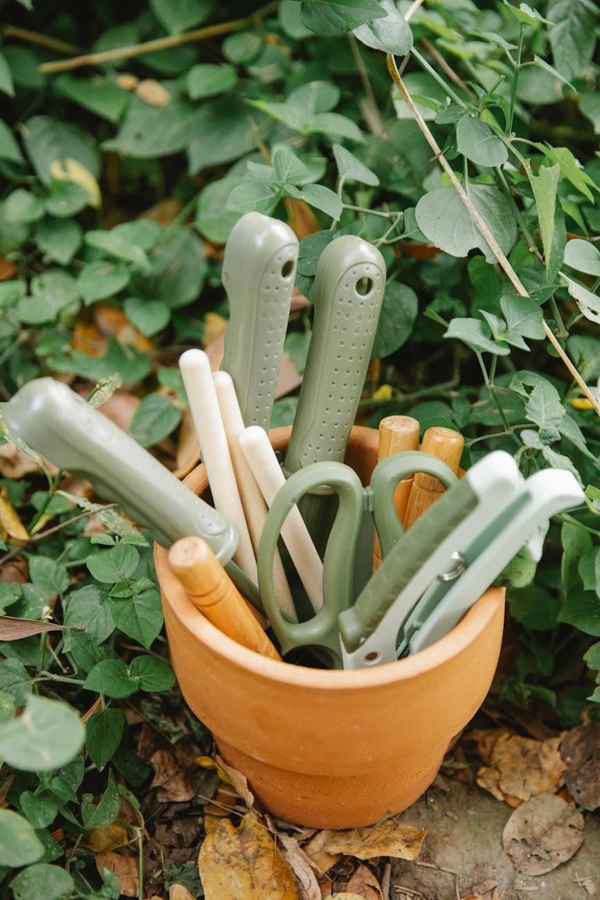 garden tools, tool care, maintenance, rust prevention, sharpening, cleaning tools, garden equipment, tool storage, gardening tips, extend lifespan
