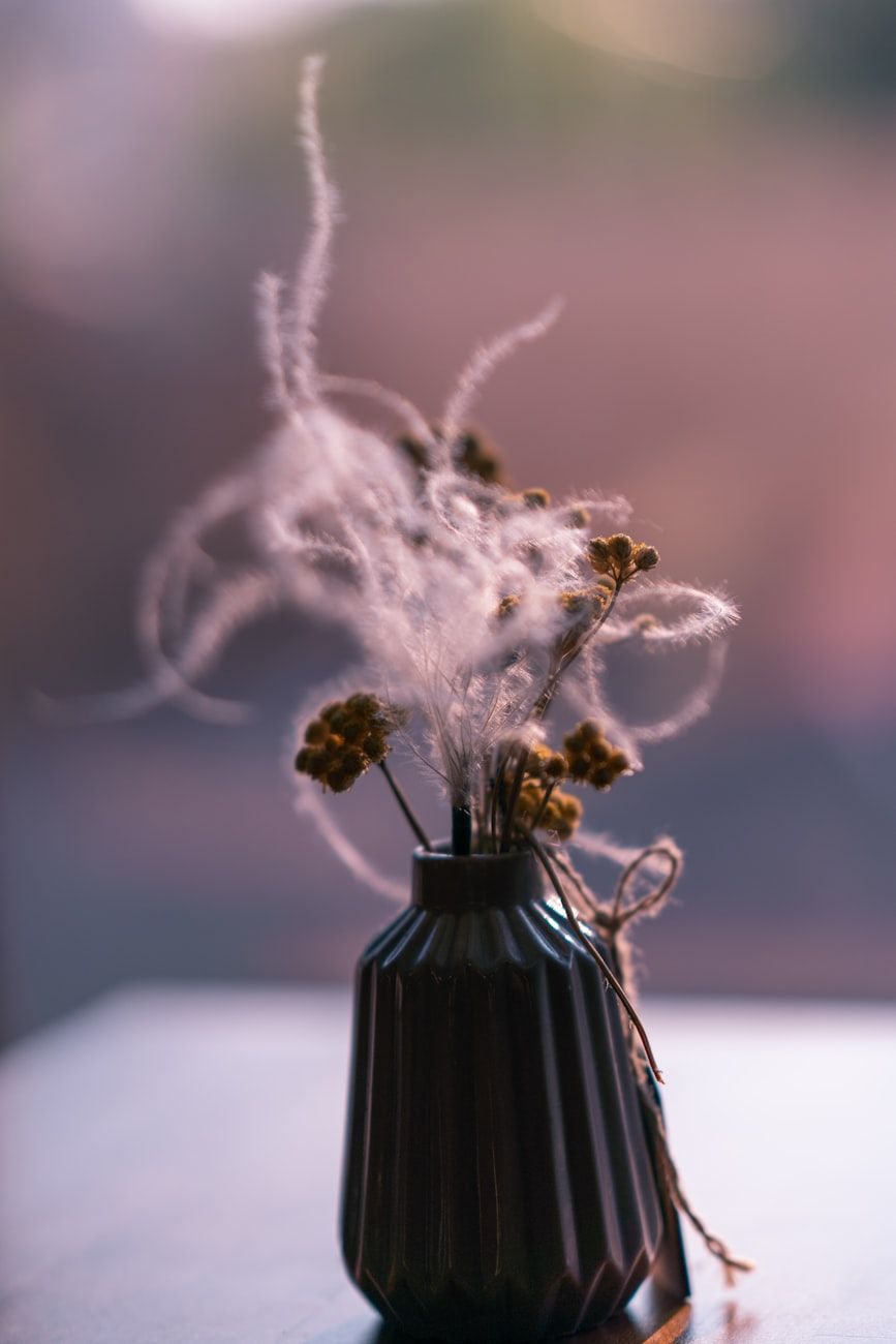 difusor de aroma para el hogar, aromas acogedores para el hogar, aceites esenciales, atmósfera relajante, aromaterapia, difusor de fragancias para el hogar, ambiente tranquilo, consejos de difusor, aromas que mejoran el estado de ánimo