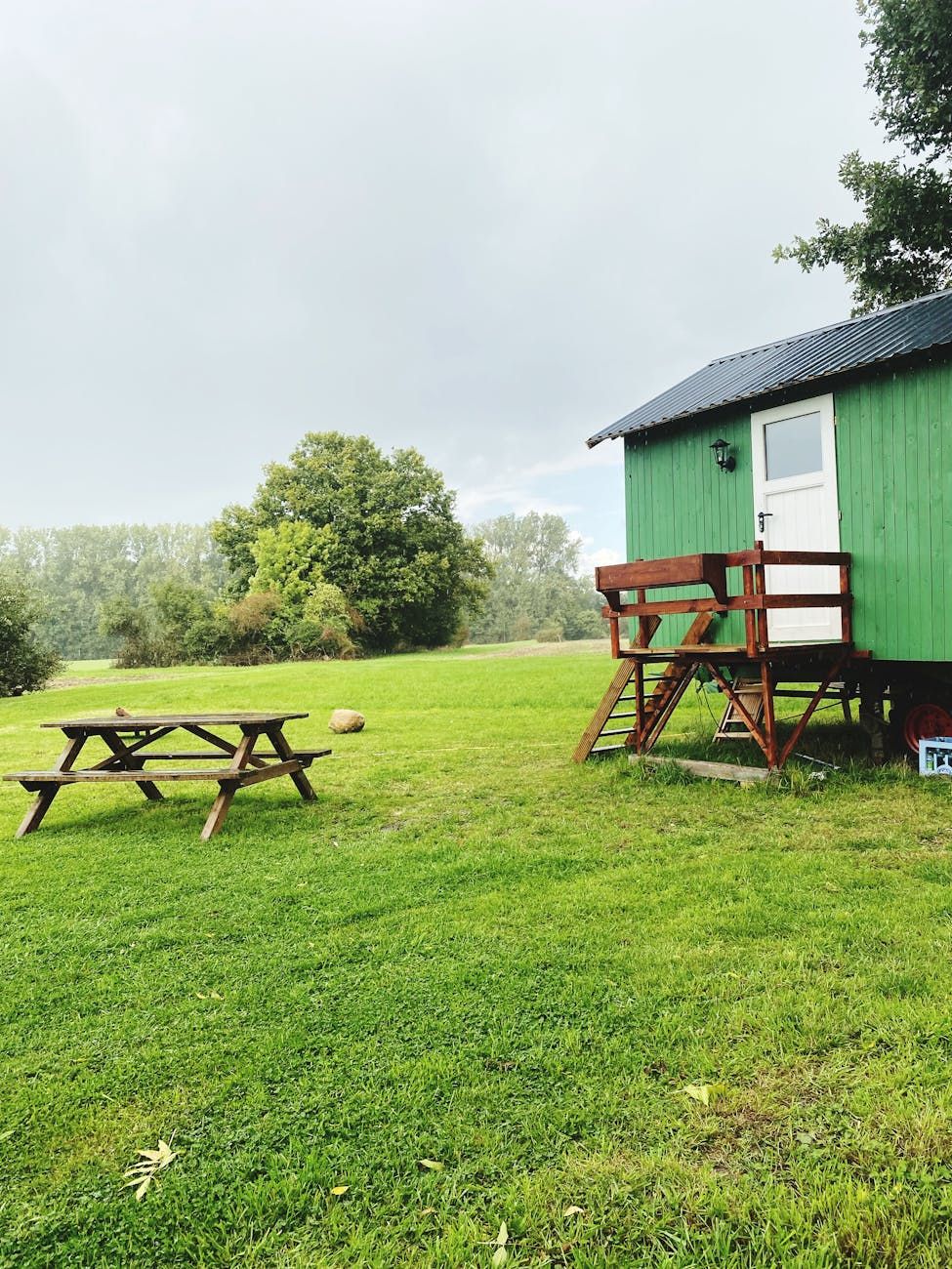 lawn care, garden maintenance, mulch, watering tips, natural fertilizers, low-maintenance landscaping, lawn tools, yard upkeep, grass health, professional lawn services