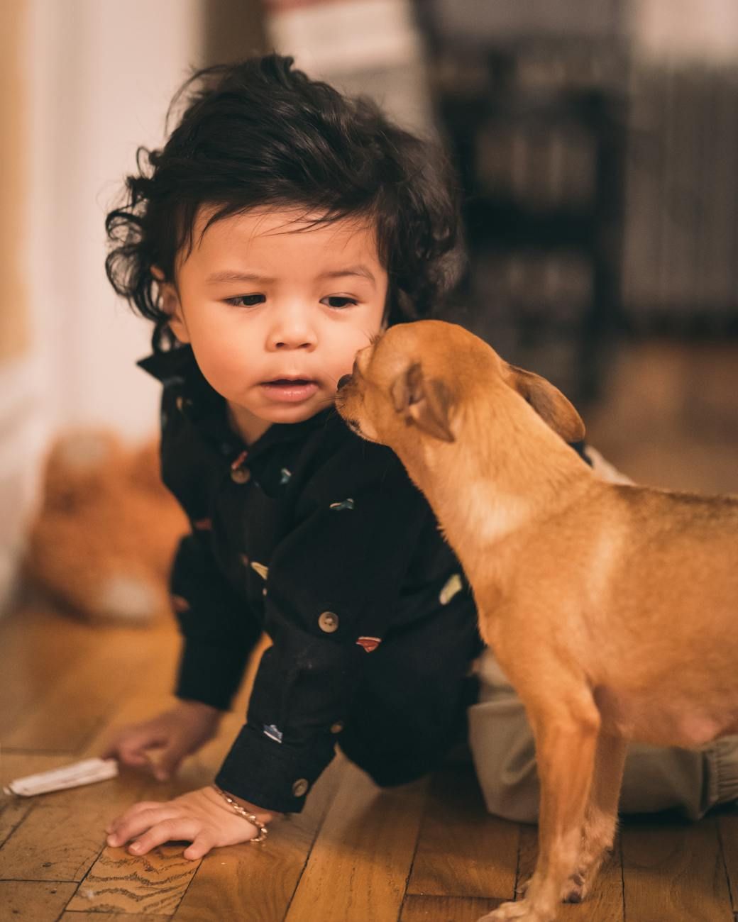 présentation enfant nouvel animal de compagnie, lien enfant animal de compagnie, enfants et nouveaux animaux de compagnie, introduction sûre d'un animal de compagnie, guide familial des animaux de compagnie, enseigner la responsabilité aux enfants, sécurité des enfants avec les animaux de compagnie, première rencontre positive, préparer les enfants pour les animaux de compagnie, conseils pour animaux de compagnie en famille