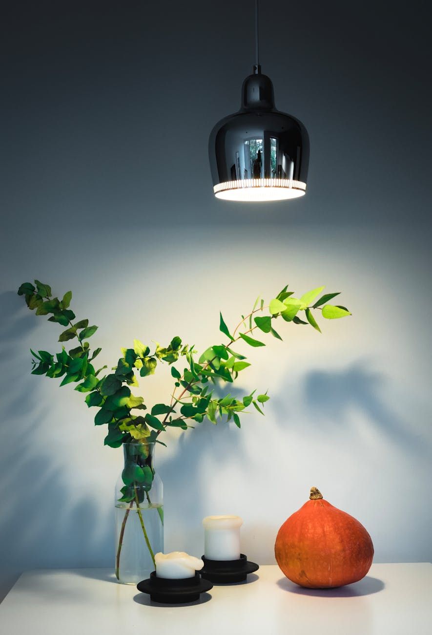 Kabel til lampe, lamper med mælkeglas, Hue sensorer, Hue Fair, bordlampe i rød, Anglepoise 1227, lamper hos Porta, stilfulde lamper, industrielle lamper, Carry White, Gloria Brass, Blomus Satellite, loftslampe fra Artemide, Fatboy skærm, Flourish bordlampe, orientalsk lampe, pop-up belysning, hængelampe i grøn og guld, standerlampe i porcelæn, bordlampe fra Flos, Optic LED, Puk Maxx, spisebordslamper, hængelampe IP65, SC27, lamper fra Jysk, væglamper fra Philips Hue, Philips Hue belysning, Miffy figur, lamper til spisebordet, nyhedsbrev for lamper, lanterne med LED, Zettel Ingo Maurer, Foscarini Binic, hængelampe i sort opalglas, belysning til trætrappe, Fritz Hansen puf, Costanza bordlampe, Flos Kelvin Edge, Flos Zeppelin, Flos Aim i hvid, blow me up, lampe til køkkenøen, hængelampe i sort til køkkenet.