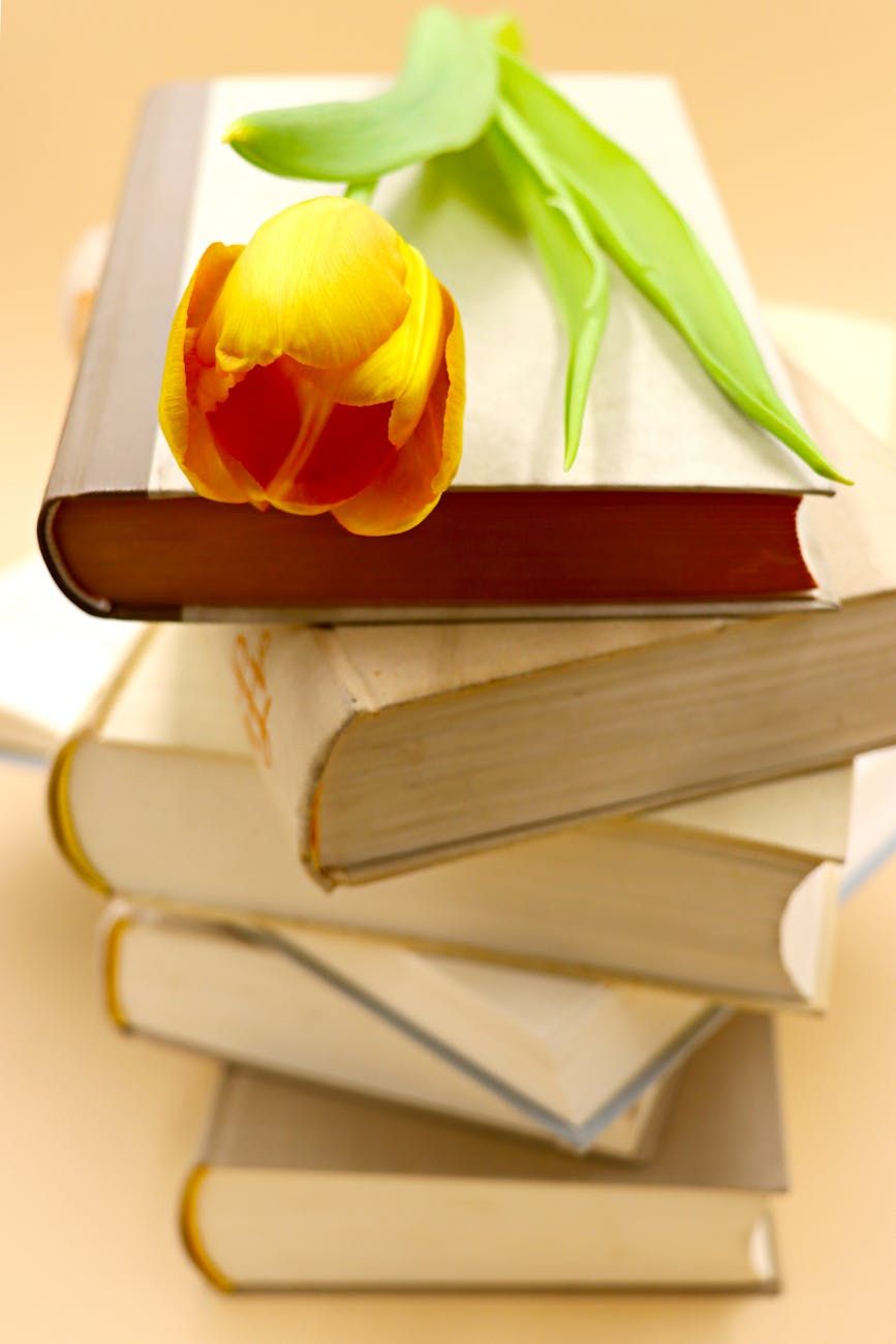 medieval novels, historical fiction, medieval stories, knight adventures, epic literature, castle intrigue, royal drama, ancient kingdoms, long reading books, medieval fantasy