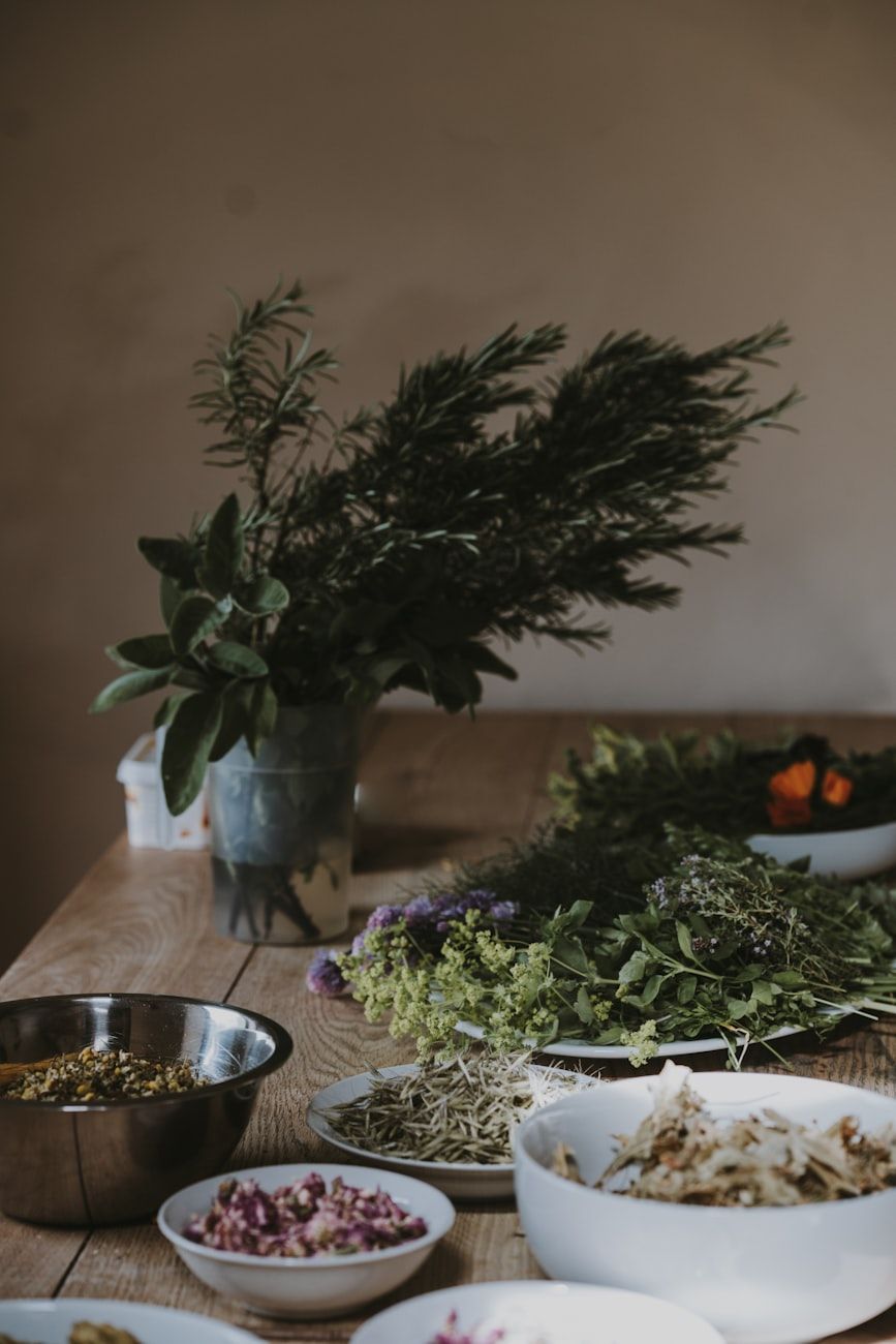 deer antlers benefits, tremella mushroom supplement, reindeer antler extract, benefits of eucommia bark, adaptogens, deer antler, tremella mushroom, reindeer antler, eucommia bark, stress relief, natural supplements, immune support, vitality boost, traditional medicine