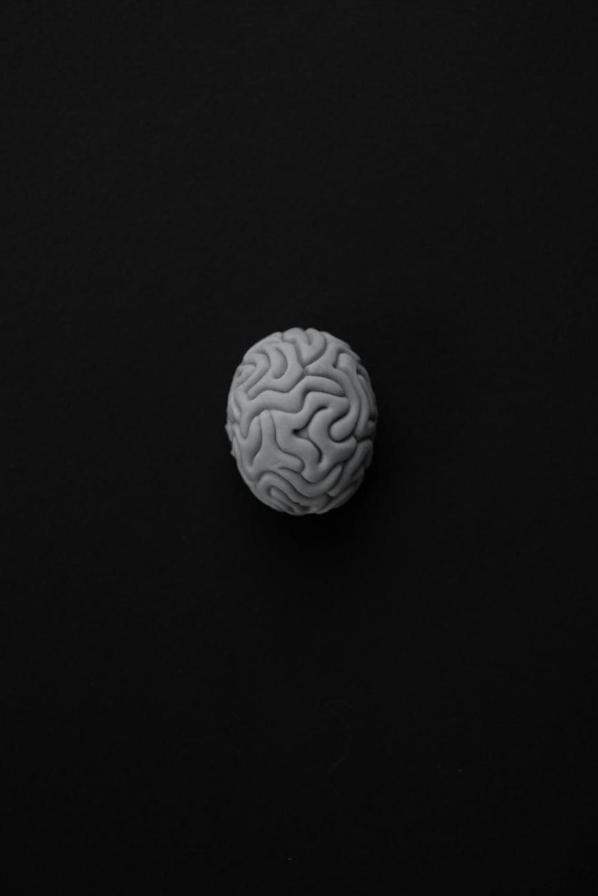 neurobiología del sueño, actividad cerebral por la noche, sueño REM, sueño no REM, consolidación de la memoria, ritmos circadianos, neurotransmisores, etapas del sueño, ondas cerebrales, investigación del sueño