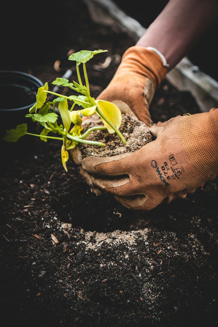 no-dig-trädgårdsodling, no-dig-trädgårdsbäddar, no-plogning, hälsosam jord, jordstruktur, organisk trädgårdsodling, trädgårdsmull, ogräsbekämpning, hållbar trädgård, lågunderhållsträdgård