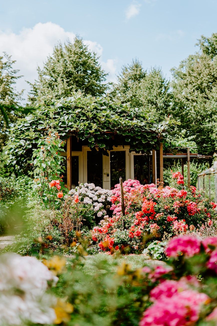 summer, garden, trends, garden update, plants, decorations, care, style, vegetable garden, garden ideas