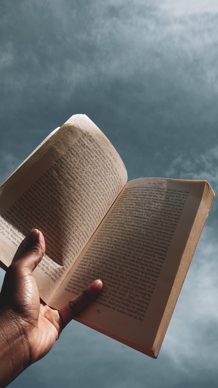 The Count of Monte Cristo, Alexandre Dumas, revenge novel, justice in literature, classic French literature, Edmond Dantès, literary masterpiece, themes of revenge, historical adventure novel, classic books