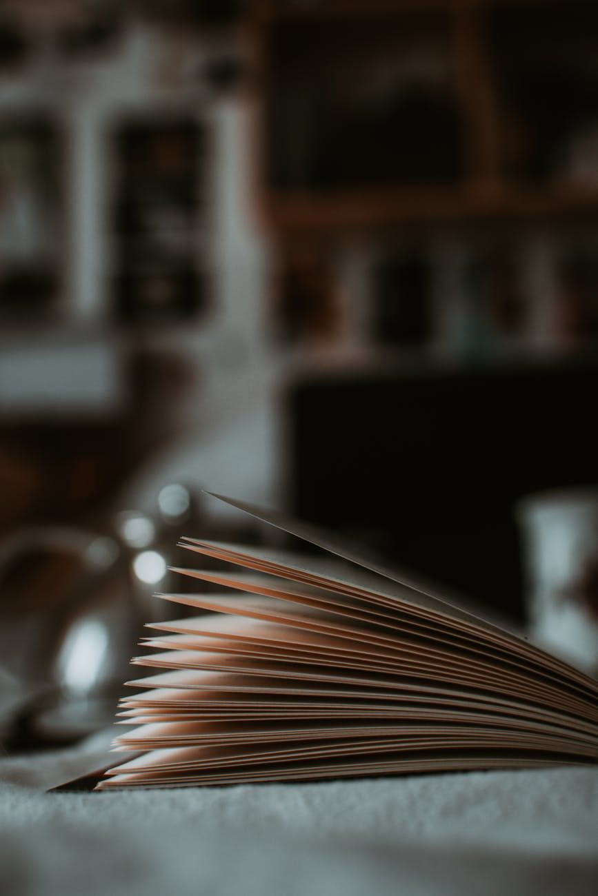 l'avenir des livres, éditions imprimées, livres papier, lecture numérique, livres électroniques, industrie de l'édition, habitudes de lecture, patrimoine culturel, amoureux des livres, imprimé vs numérique