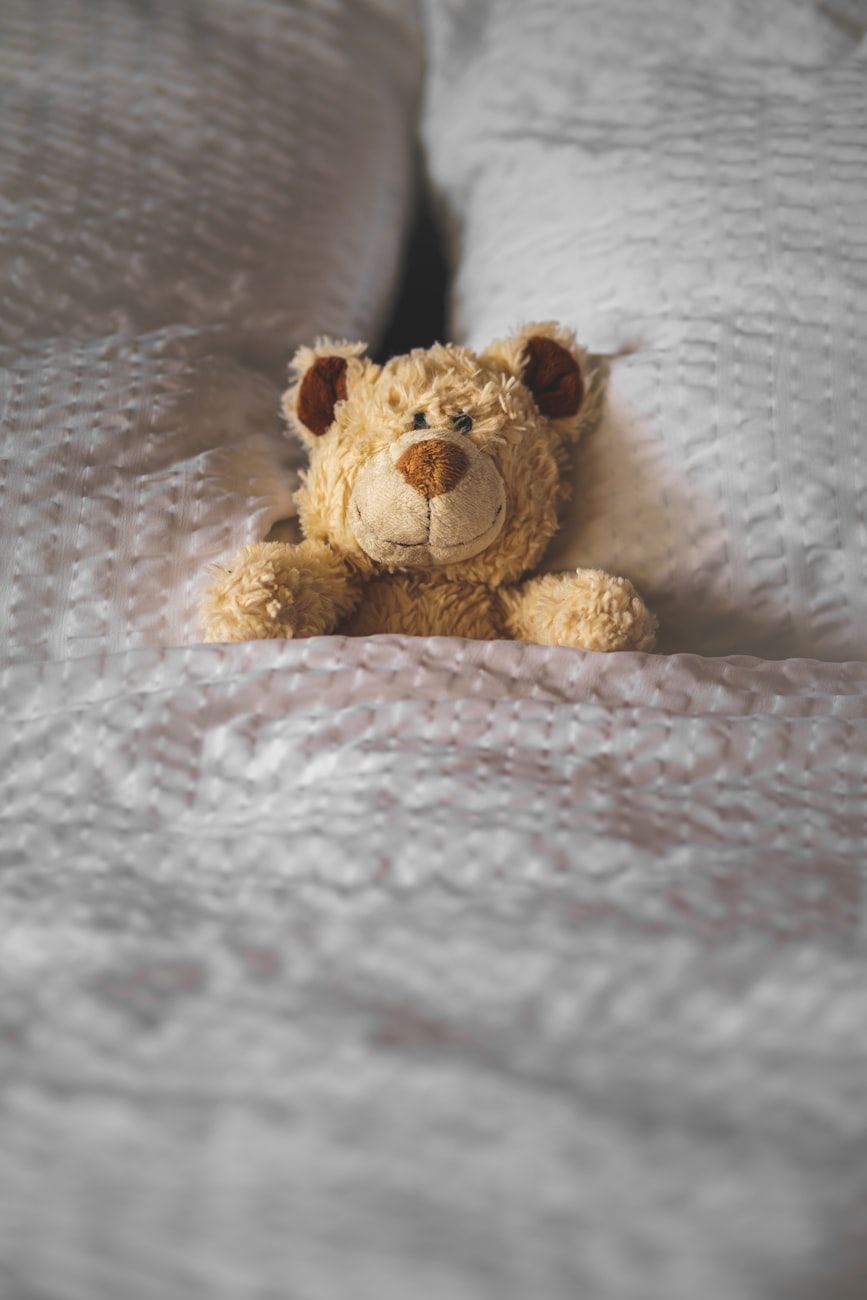 orsacchiotto di peluche, giocattolo per bambini, regalo per un bambino, conforto e sicurezza, amico morbido, ricordo di famiglia, ricordi dell'infanzia, supporto emotivo, giocattolo di sviluppo, regalo perfetto