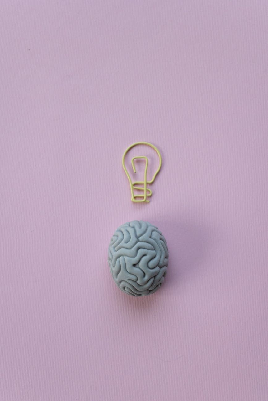 cerebro, inteligencia, memoria, neuronas, sinapsis, aprendizaje, plasticidad cerebral, funciones cognitivas, neurobiología, memoria y percepción