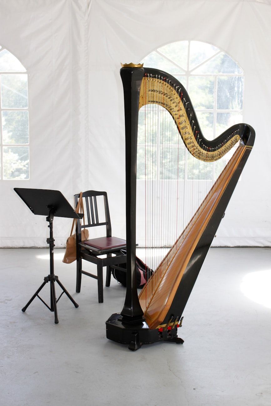 arpa, instrumento mágico, música clásica, sonido relajante, terapia musical, arpa antigua, instrumentos de cuerda, melodías románticas, música elegante, actuación de arpa