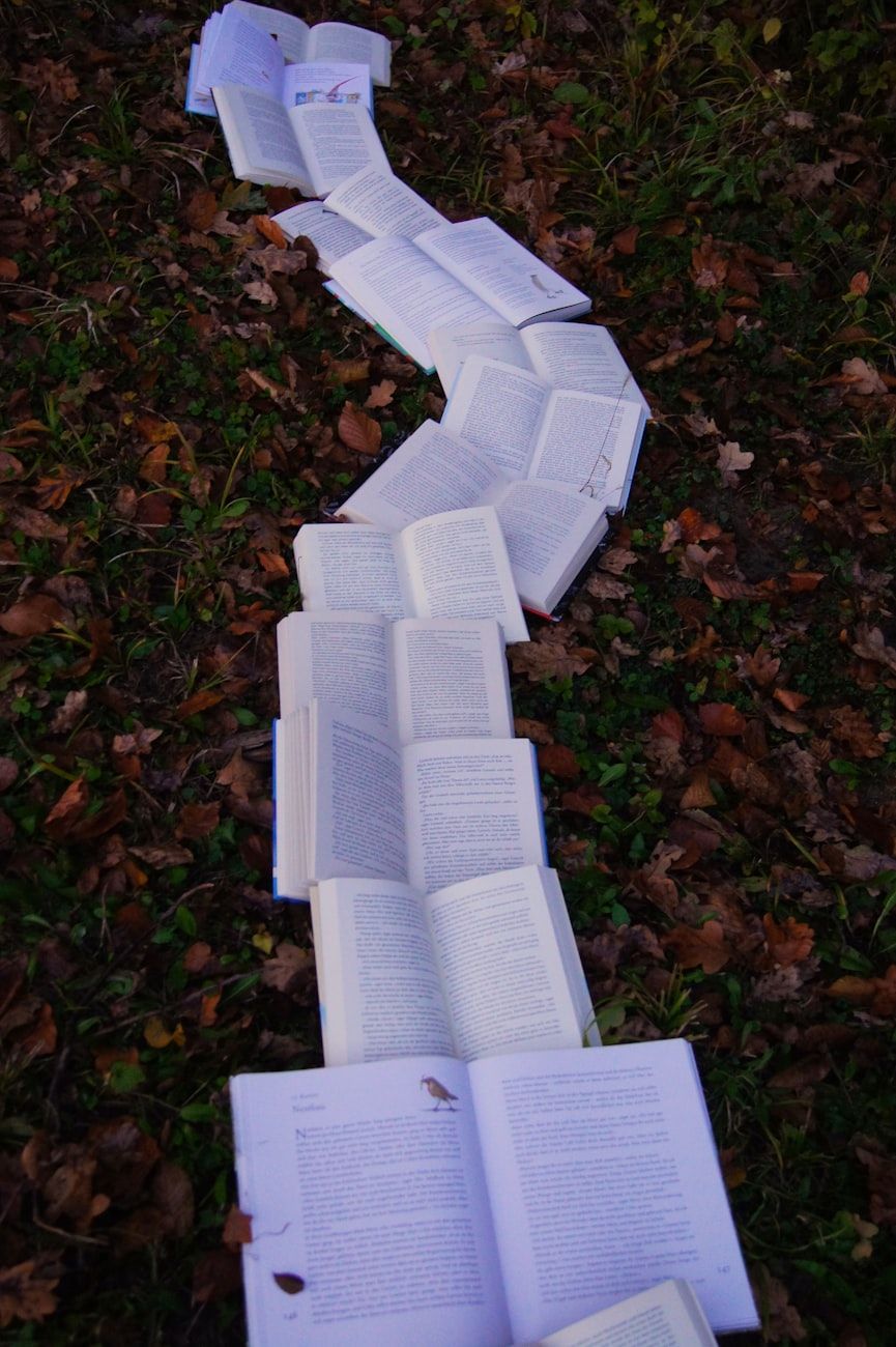pouvoir des mots, influence des livres sur la pensée, comment les livres façonnent les esprits, lecture et psychologie, impact de la littérature, mots et état d'esprit, lecture développement cognitif, influence des livres, lecture et pensée, littérature et esprit
