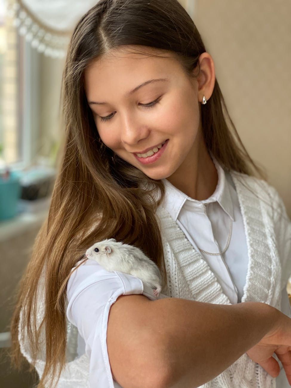Hamsters, comportement des hamsters, soins des hamsters, faits intéressants sur les hamsters, animaux de compagnie, vie des hamsters, secrets des hamsters, santé des hamsters, hamsters sauvages, jeux pour hamsters