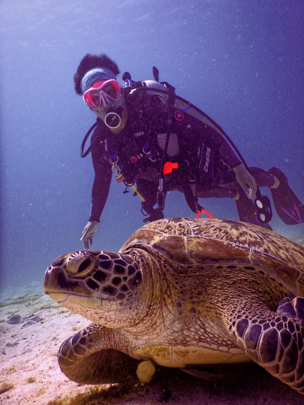 plongée, natation sous-marine, aventure, Asie du Sud-Est, récifs coralliens, exotique, paysages sous-marins, nature tropicale, visite de plongée, océan